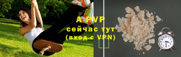 стафф Алзамай