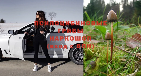 стафф Алзамай