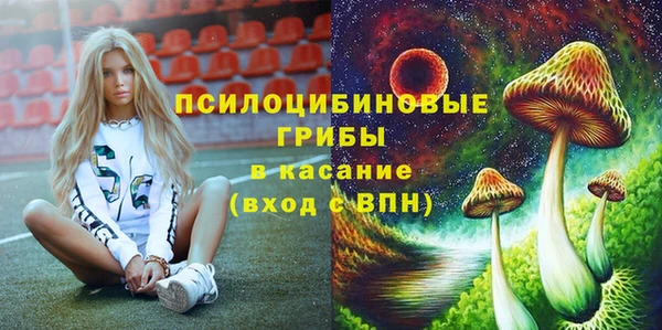 стафф Алзамай